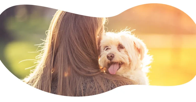 新しい保護犬譲渡のカタチ「アニフェア（anifare）」が変える常識　～譲渡までの流れとコスト～