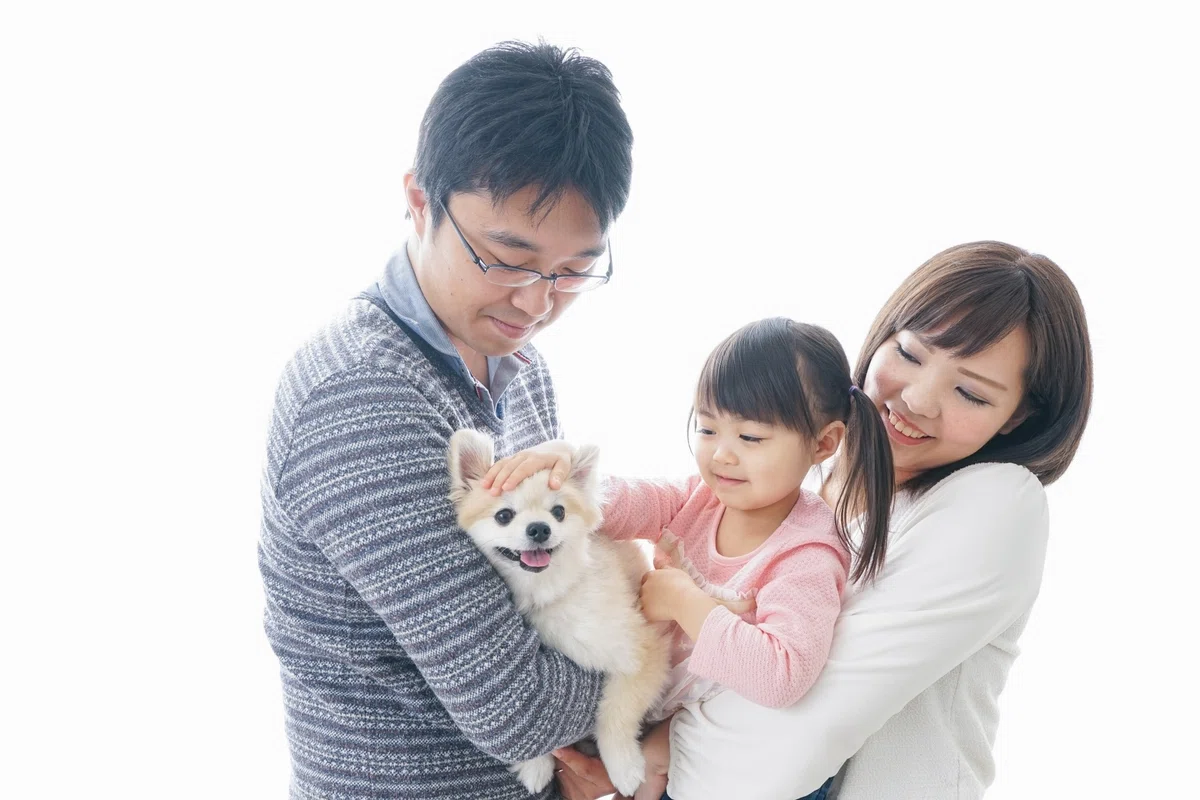 保護犬はなぜ消えない？　私たちができる、「買う」から「出会う」へのシフトの画像8