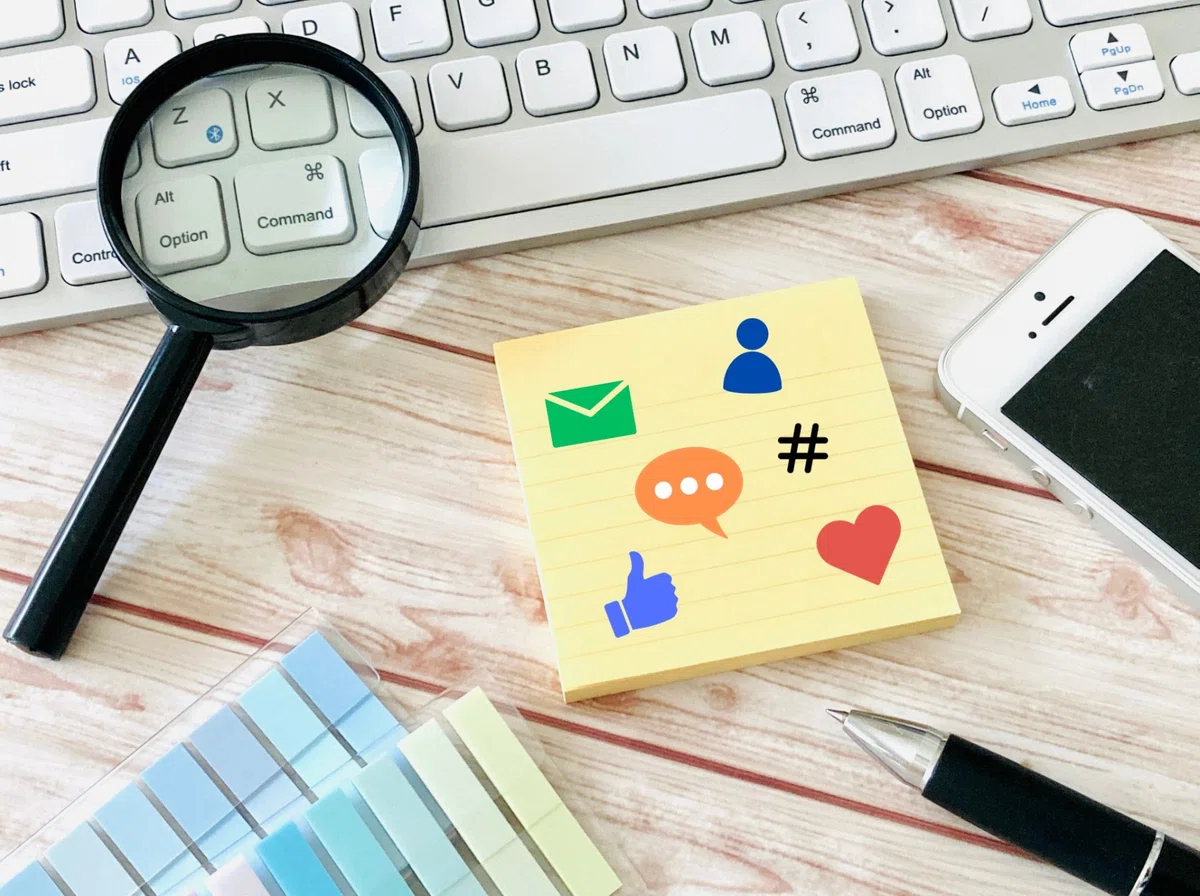 捨て犬や野犬だけではない、「保護犬」 の生まれる理由と、裏に潜む現実の画像7