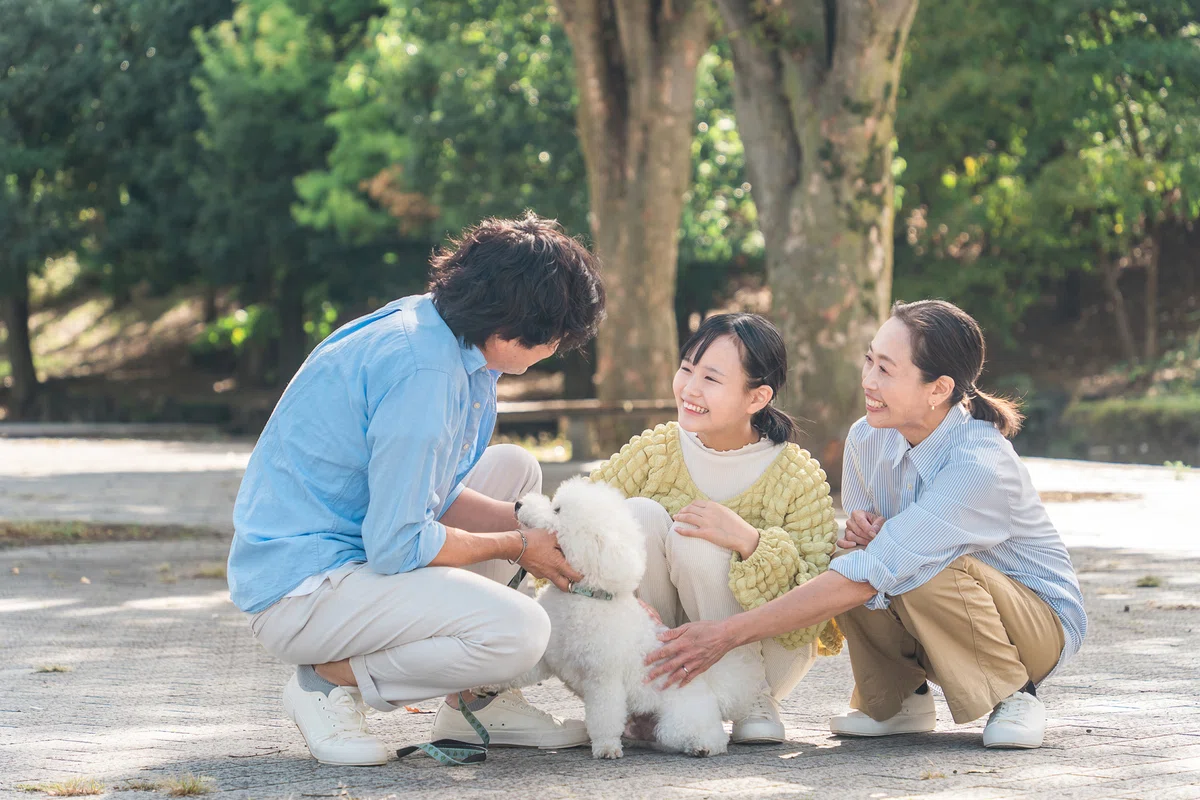 保護犬の譲渡審査って、何を見るの？「落とすための審査」ではない理由の画像2