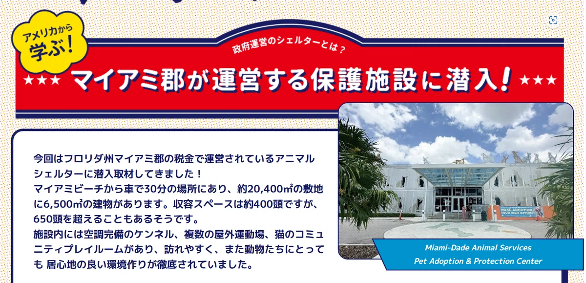 なぜなくならない?日本の殺処分の現状と他国の取組みの画像3