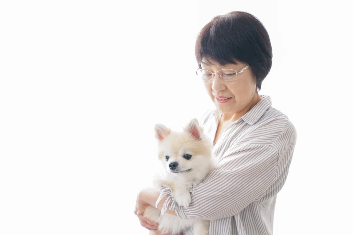 孤立が飼育放棄の一因に? 多頭飼育崩壊の現場に潜む、飼い主側の福祉課題の画像3