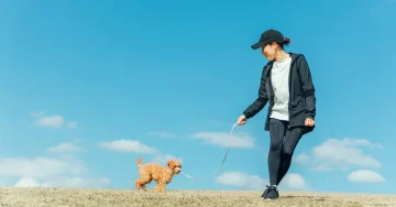 血統書付き(純血種)は本当にベスト? ”保護犬”という選択肢とともに考える