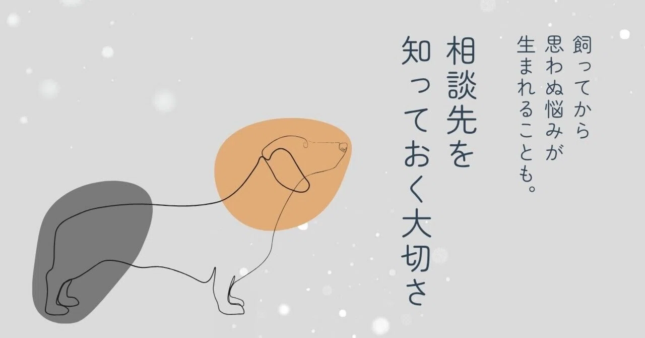 里親になってから、飼い方や悩みを相談できる場所とは?の画像1