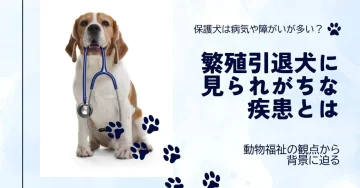 繁殖引退犬に見られがちな疾患はある？その背景と真相に迫る