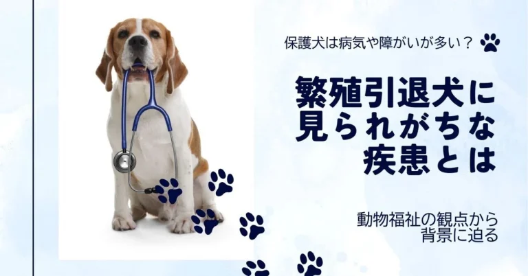 繁殖引退犬に見られがちな疾患はある？その背景と真相に迫る